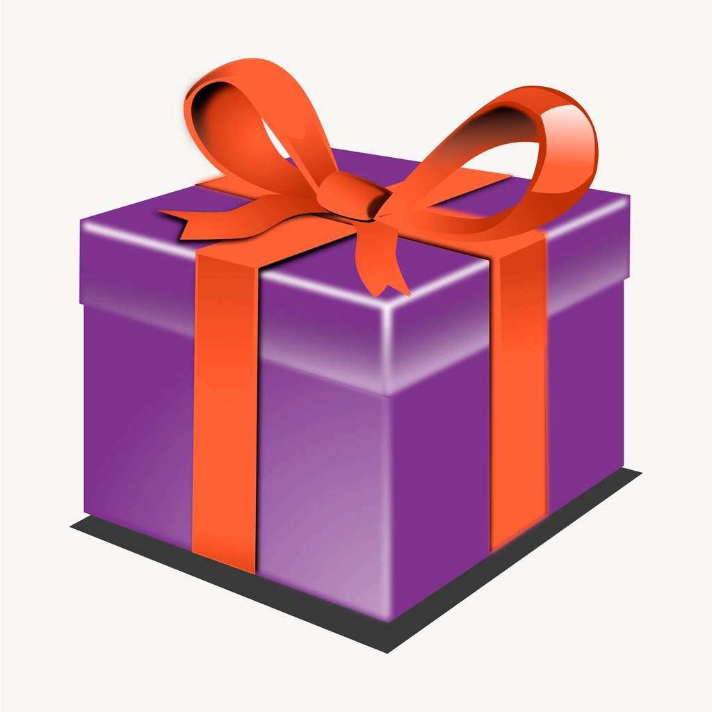 Cadeau Mystère Inclus 🛡️
